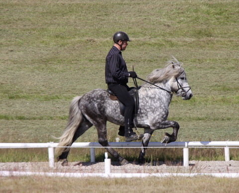 kynbtas._0710_008 kynbtas._0710_008